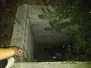В Бишкеке девушка ночью упала в открытый подвал на Байтик батыра-Саманчина, которого не видно ночью и сильно пострадала, - очевидец (фото)