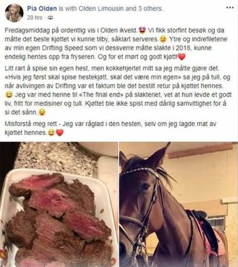18-летнюю норвежку возненавидел мир за поедание лошади