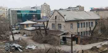 В Бишкеке рубят здоровые деревья (фото)
