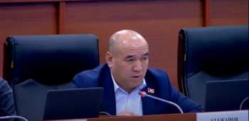 Депутату стыдно, что генконсул Кыргызстана в Дубае сам водит служебную машину