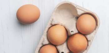 Кыргызстан ввел временный запрет на ввоз свежих яиц кур