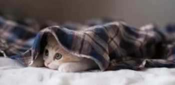 Синоптики объявили штормовое предупреждение: температура опустится до –33°