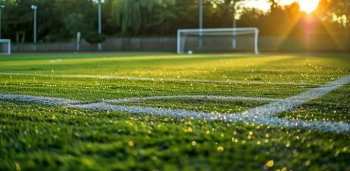 В Ботсаду планируют построить футбольные поля