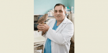 Российский ветеринар Карен Даллакян прилетает в Бишкек спасать редких птиц