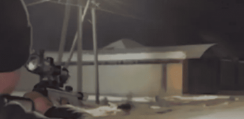 В Чуйской области задержаны живодёры, стрелявшие в животных ради забавы