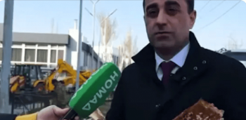 Вырубка тополей в "Аламедин-1": жители говорят о крепких деревьях, мэрия - что почти все сгнило