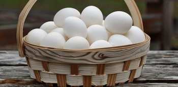 Когда нормализуется ситуация с яйцами, рассказал представитель Минводсельпрома