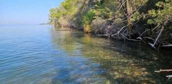 Засыпка берега Иссык-Куля: эколог предупредил об опасных последствиях в будущем