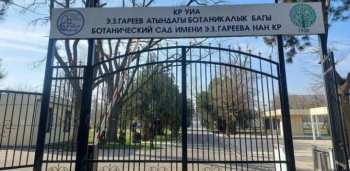 В Ботаническом саду Бишкека сотрудникам обещают зарплату до 60 тысяч сомов