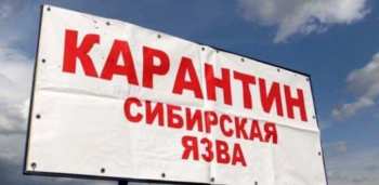 В КР могут сократить санитарные зоны вокруг очагов сибирской язвы